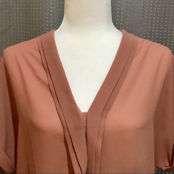 Dex Oversized Blush Dex Sheer Button Blouse - Picture 2 of 7